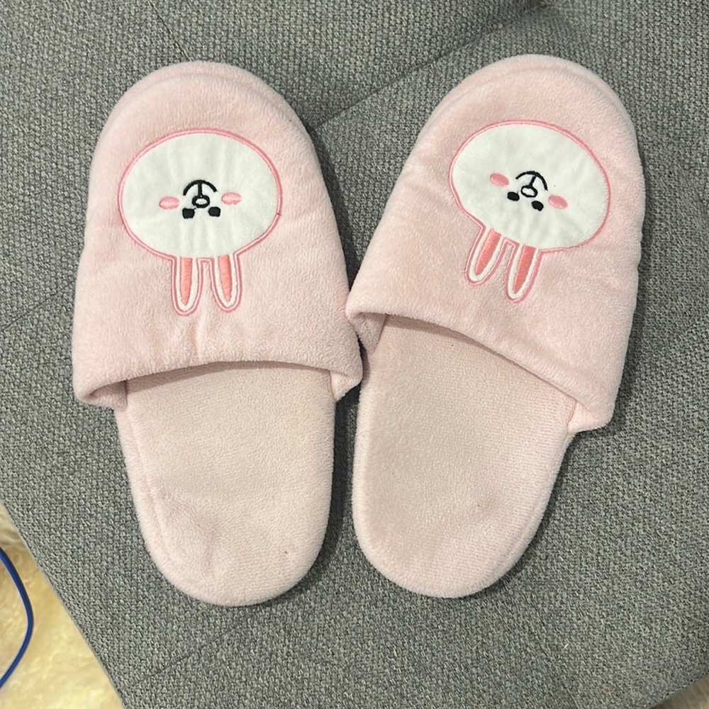 Line Friends Slippers
